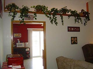 5th image of 119 Ellen Ct