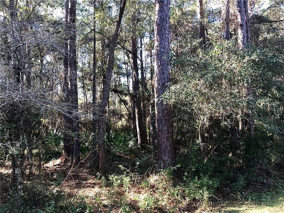 1st image of 1009 Mauvilla Pl
