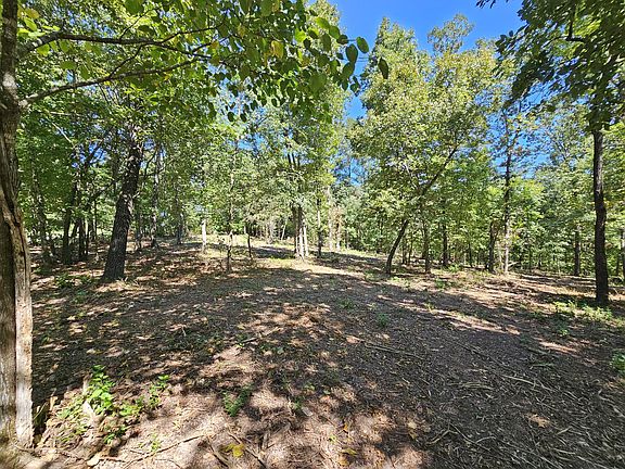 4th image of Tract 4 C Creekwood Lane