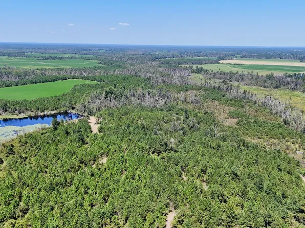 2 Rhonda Coleman Rd, Hazlehurst, GA 31539