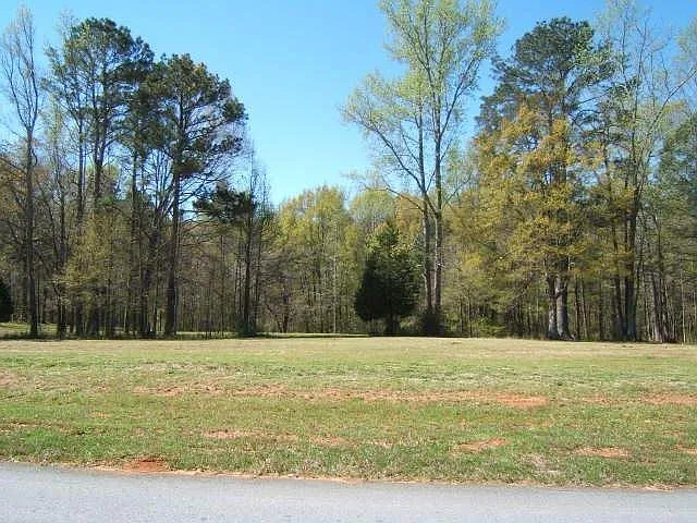 215 River Meadow Ln photo 1