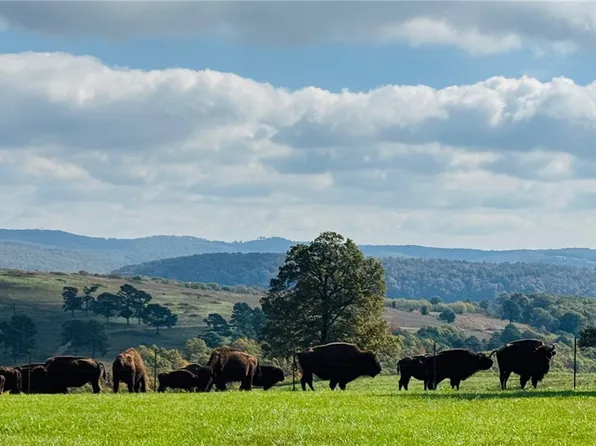 (undisclosed Address), Kingston, AR 72742