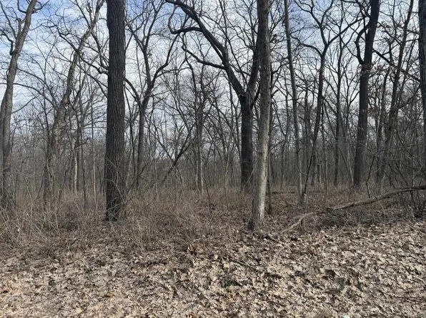 2/ACRE S Biggs Rd, Argyle, WI 53504