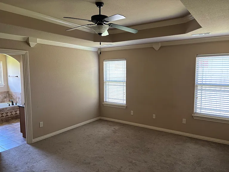Large Primary bedroom