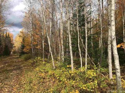 Dn Rd, Rock, MI, 49880