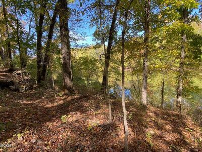 L39 Ted Logsdon Rd, Clarkson, KY, 42726