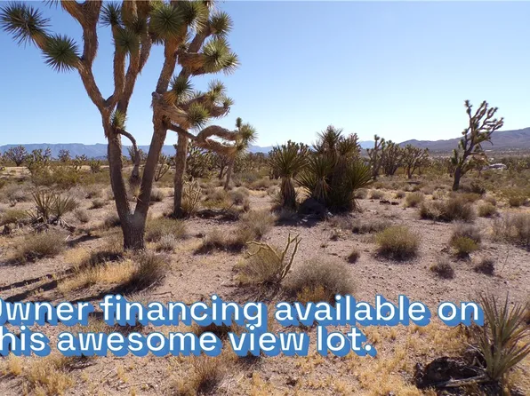 18048 N Lost Mine Dr, Dolan Springs, AZ 86441