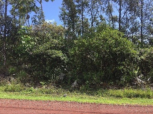 3rd image of 5th Ave Lot 2435