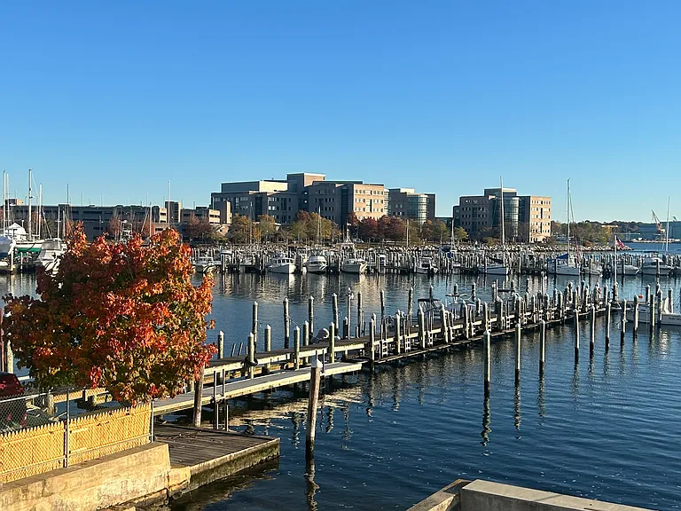 184 Pequot Ave #210 — Photo 3