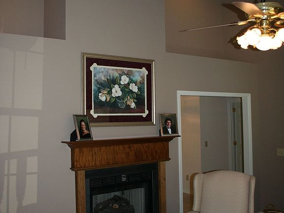 Beautiful plant shelves in living room