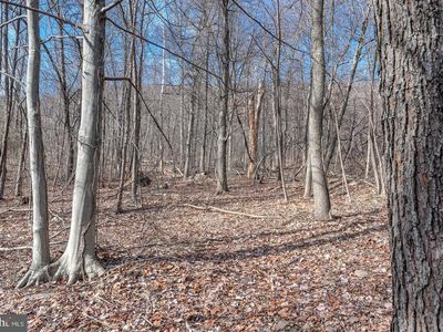 LOT 6 Zeigler Ln, Enola, PA, 17025