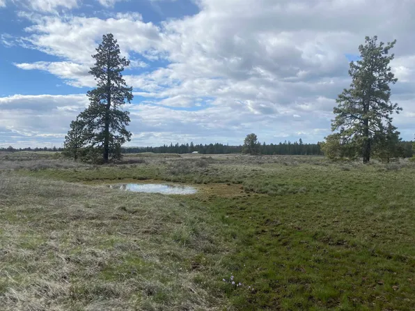 Lorna Ln Parcel 3, Cheney, WA 99004