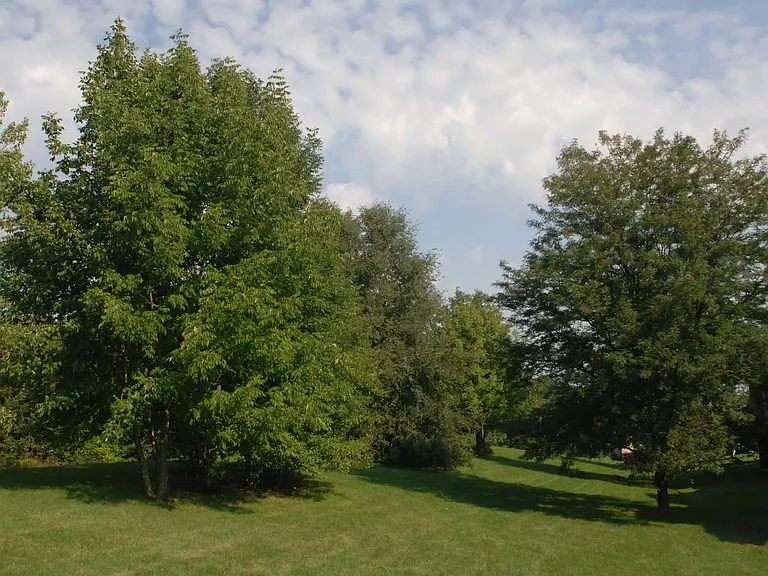 Beautiful Grounds