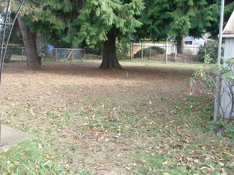 This picture is from 2013 and all the trees in the back and front of the house have died.
