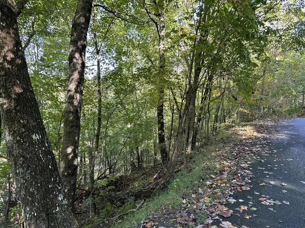 LOT 449 Mountain Tops Rd, Blue Ridge, GA 30513