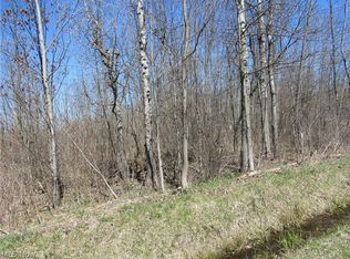 Whitney Rd, Montville, OH 44064