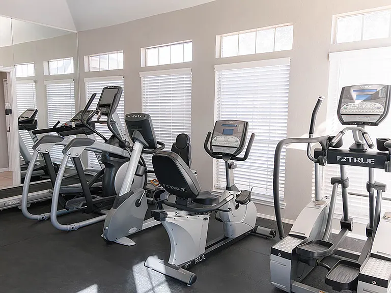Professional Fitness Center
