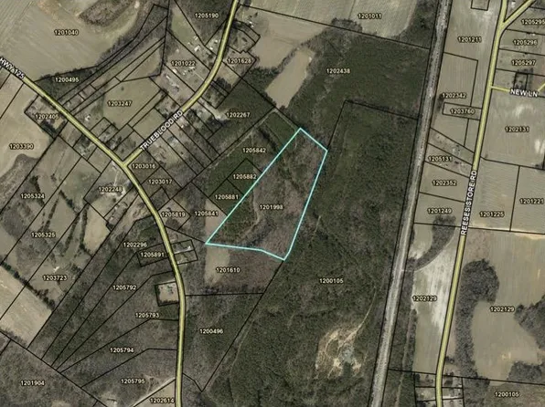 Highway 125 Lot 2, Halifax, NC 27839