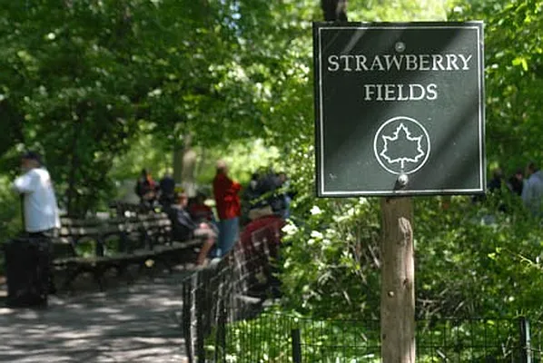 Rented by Corcoran | media 16