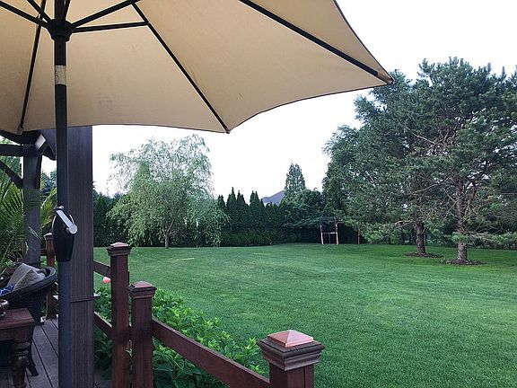 Backyard (fenced in)