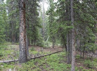 Timberline Trl, Fairplay, CO 80440