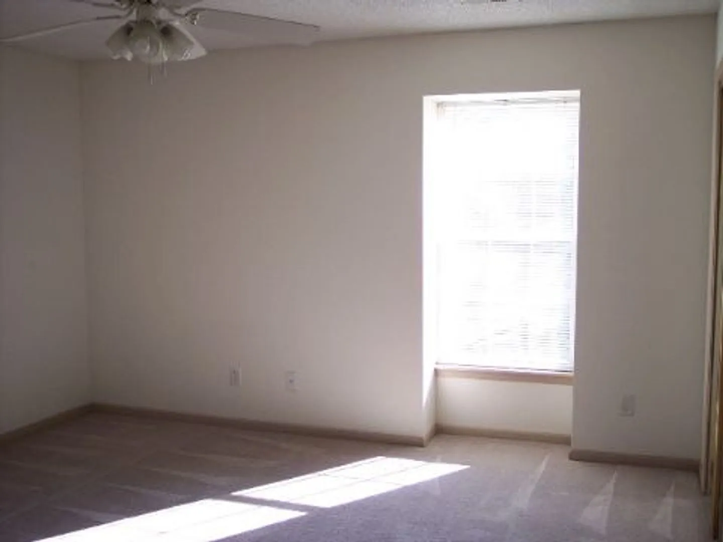 115 Polk St - BLDG A — Photo 4