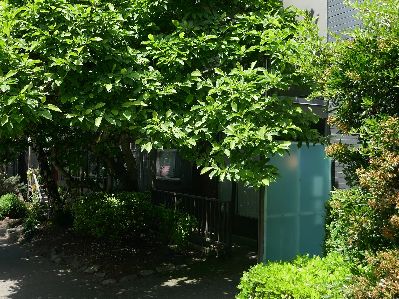 1 bed, 725 sqft, $1,895 — Photo 1