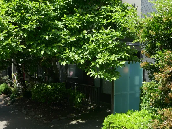 510 E Thomas St APT 202, Seattle, WA 98102