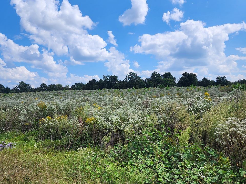 2nd image of 0 Goodridge Rd