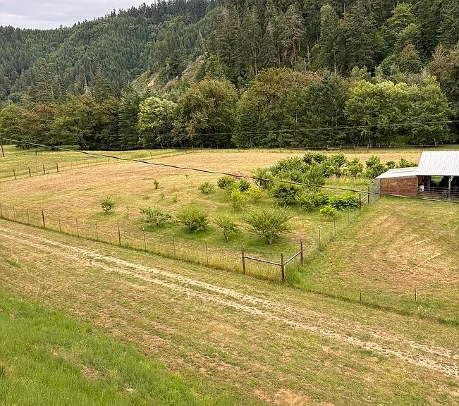 561 Paradise Creek Rd — Photo 27