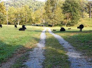 1151 McClures Mill Rd, Greenville, VA 24440