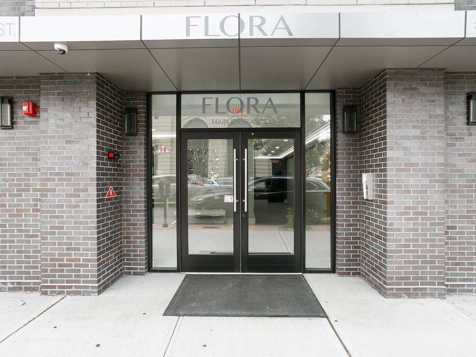 Flora — Photo 3