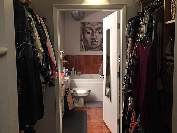 Walk Through Closet Master Bedroom into Master Bath