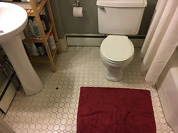 321 Stratford Ave #1 — Photo 9