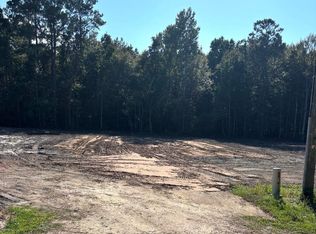 2647 Allen Dew Rd TRACT 4, Conway, SC 29527
