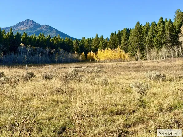 3564 Rock Creek Ln, Island Park, ID 83429