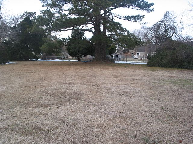 2nd image of 1103 Waterlily Rd
