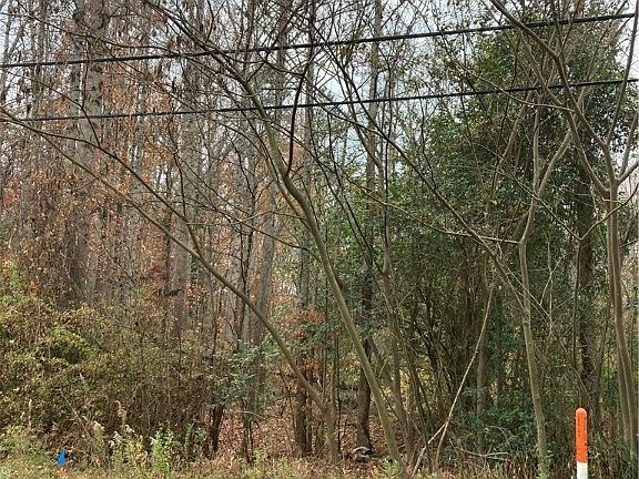 5th image of 1333 Caldwell Williams Rd