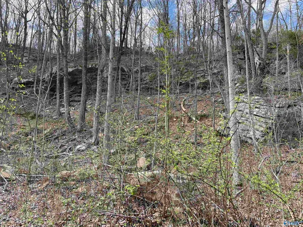 397 County Road 222, Woodville, AL 35776
