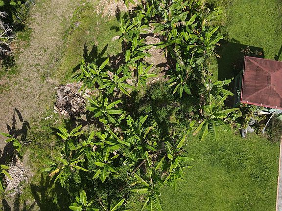 3rd image of 924 Bo Collores