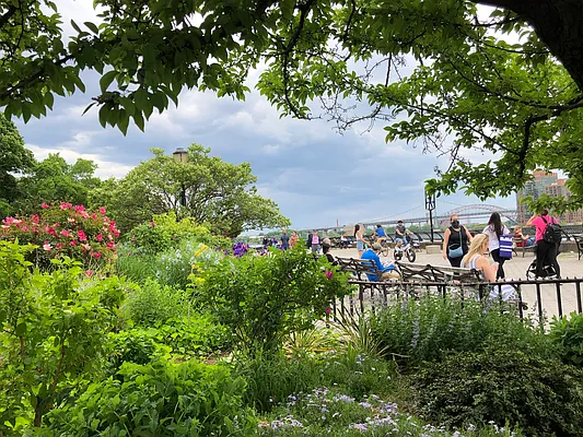 Rented by Douglas Elliman | media 17