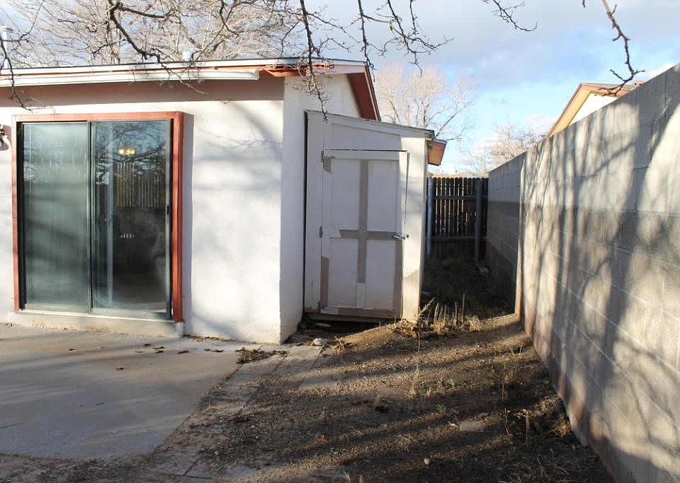 Backyard (2)