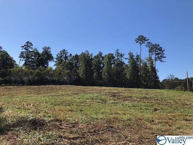 2nd image of 335 Cotton Rd