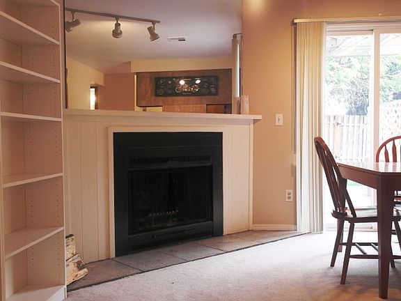 Wood burning fireplace
