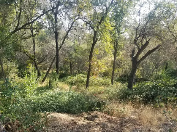 9460 Cannonshire Ct, Loomis, CA 95650