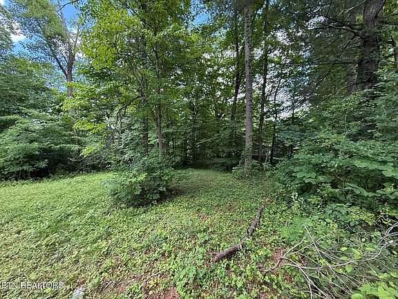 3rd image of Shoreline Cir