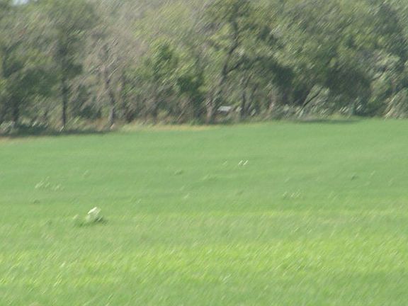 4th image of 743 Lonesome Trl