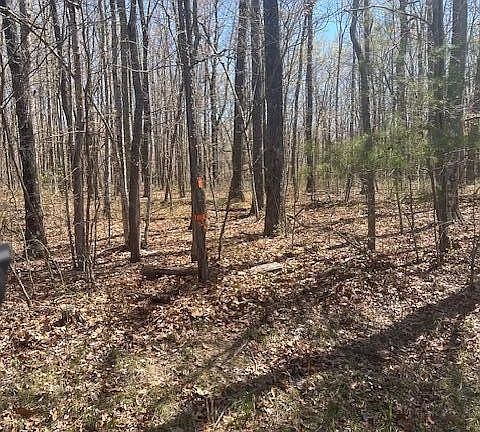 5th image of 0 Reeves Rd Lot 6