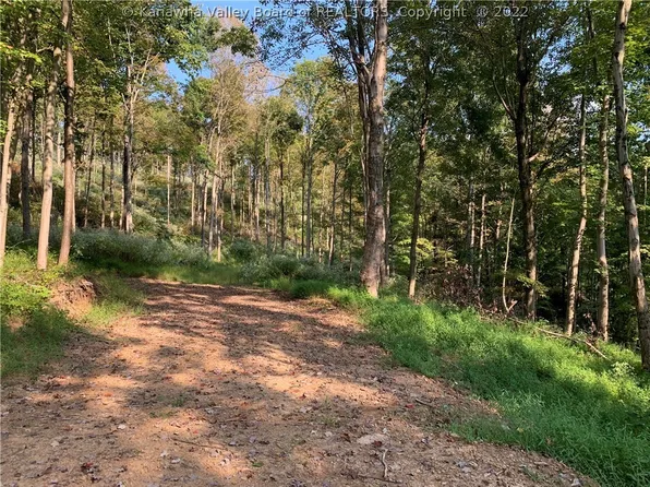 0 Howards Fork Dr, Charleston, WV 25313