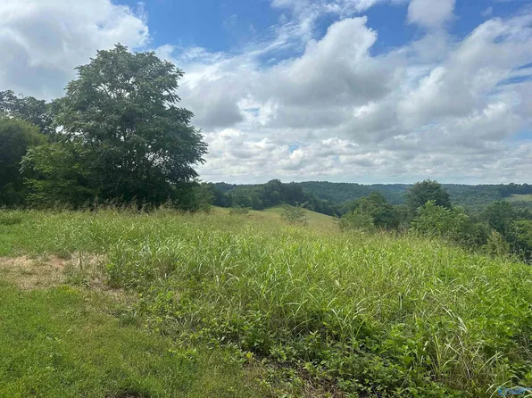 5A Simmons Rd, Belvidere, TN 37306